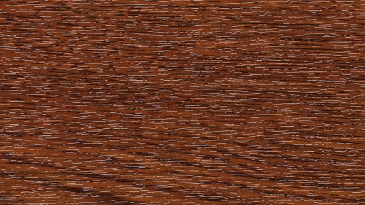 Nussbaum 21